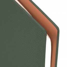 Ежедневник на кольцах в наборе с ручкой А5 165x229мм BRAUBERG "Lux", под кожу, 100 листов, зеленый, 116858