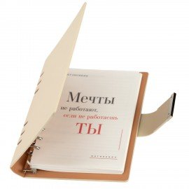 Ежедневник на кольцах в наборе с ручкой А5 165x229мм BRAUBERG "Lux", под кожу, 100 листов, бежевый, 116859