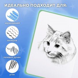 Скетчбук, белая бумага 80г/м 145х203мм, 80л, резинка, твердый, BRAUBERG ART DEBUT, Дизайн 1, 116891