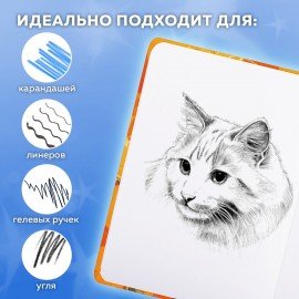 Скетчбук, белая бумага 120г/м 145х203мм, 80л, резинка, твердый, BRAUBERG ART DEBUT, Дизайн 3, 116898