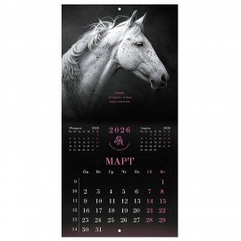 Календарь настенный перекидной 2026г, BRAUBERG, 12 листов, 28,5х28,5см, Символ года, 116928