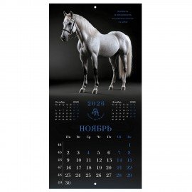 Календарь настенный перекидной 2026г, BRAUBERG, 12 листов, 28,5х28,5см, Символ года, 116928