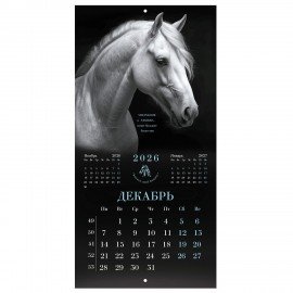Календарь настенный перекидной 2026г, BRAUBERG, 12 листов, 28,5х28,5см, Символ года, 116928