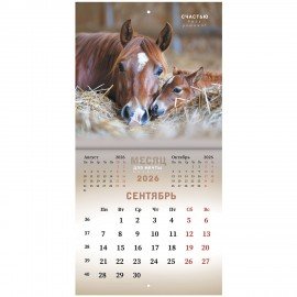 Календарь настенный перекидной 2026г, BRAUBERG, 12 листов, 21,3х21,3см, МИНИ, Символ года, 116947