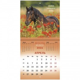 Календарь настенный перекидной 2026г, BRAUBERG, 12 листов, 21,3х21,3см, МИНИ, Символ года, 116947