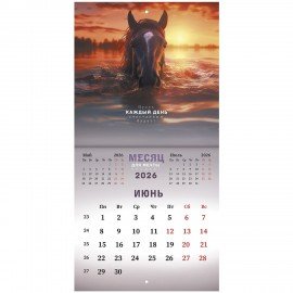 Календарь настенный перекидной 2026г, BRAUBERG, 12 листов, 21,3х21,3см, МИНИ, Символ года, 116947