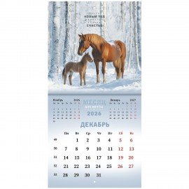 Календарь настенный перекидной 2026г, BRAUBERG, 12 листов, 21,3х21,3см, МИНИ, Символ года, 116947