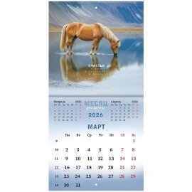 Календарь настенный перекидной 2026г, BRAUBERG, 12 листов, 21,3х21,3см, МИНИ, Символ года, 116947