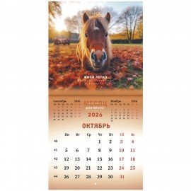 Календарь настенный перекидной 2026г, BRAUBERG, 12 листов, 21,3х21,3см, МИНИ, Символ года, 116947