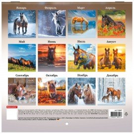 Календарь настенный перекидной 2026г, BRAUBERG, 12 листов, 21,3х21,3см, МИНИ, Символ года, 116947