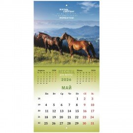 Календарь настенный перекидной 2026г, BRAUBERG, 12 листов, 21,3х21,3см, МИНИ, Символ года, 116947