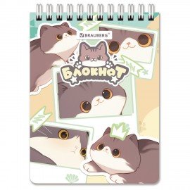 Блокнот МАЛЫЙ ФОРМАТ А6 97х145мм, 60л, гребень, картон, клетка, BRAUBERG МИЛЫЕ КОТЫ, 116987