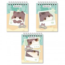 Блокнот МАЛЫЙ ФОРМАТ А7 75х105мм, 40л, гребень, картон, клетка, BRAUBERG МИЛЫЕ КОТЫ, 116988