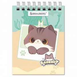 Блокнот МАЛЫЙ ФОРМАТ А7 75х105мм, 40л, гребень, картон, клетка, BRAUBERG МИЛЫЕ КОТЫ, 116988
