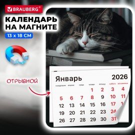 Календарь отрывной на магните 2026, BRAUBERG, 130Х180мм, склейка, Спящий кот, 117292