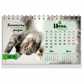 Календарь-домик настольный на гребне, 2026г, BRAUBERG, 160х110мм, 6 листов, Котики, 117296
