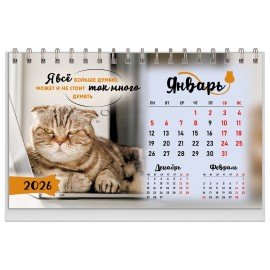 Календарь-домик настольный на гребне, 2026г, BRAUBERG, 160х110мм, 6 листов, Котики, 117296