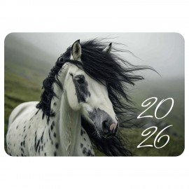 Календарь карманный на 2026г, BRAUBERG, 64х93мм, АССОРТИ 20 видов, 117303