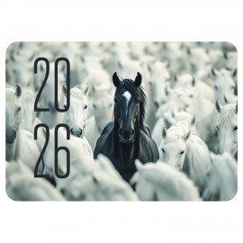 Календарь карманный на 2026г, BRAUBERG, 64х93мм, АССОРТИ 20 видов, 117303