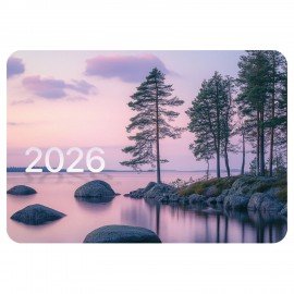 Календарь карманный на 2026г, BRAUBERG, 64х93мм, АССОРТИ 20 видов, 117303