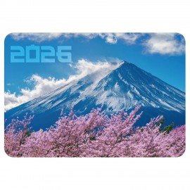 Календарь карманный на 2026г, BRAUBERG, 64х93мм, АССОРТИ 20 видов, 117303