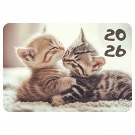 Календарь карманный на 2026г, BRAUBERG, 64х93мм, АССОРТИ 20 видов, 117304