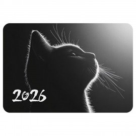 Календарь карманный на 2026г, BRAUBERG, 64х93мм, АССОРТИ 20 видов, 117304