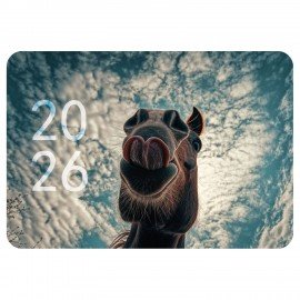 Календарь карманный на 2026г, BRAUBERG, 64х93мм, АССОРТИ 20 видов, 117304