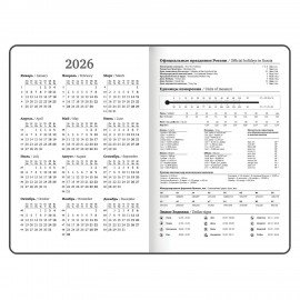 Ежедневник датированный 2026 с резинкой 145х203 мм, А5, BRAUBERG твердый, фольга, "Лаванда", 117344