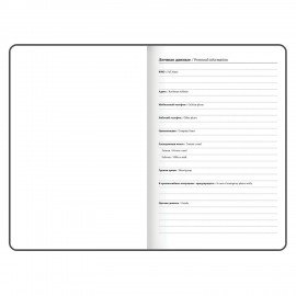 Ежедневник датированный 2026 с резинкой 145х203 мм, А5, BRAUBERG твердый, фольга, "Лаванда", 117344