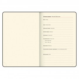 Ежедневник датированный 2026 А5 138х213мм BRAUBERG Essential, под кожу, держатель, серый, 117397