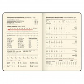 Ежедневник датированный 2026 А5 138х213мм BRAUBERG ArtGallery, под кожу, нашивка, серый, 117406