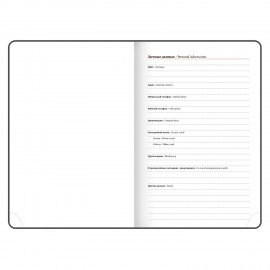 Ежедневник датированный 2026 А5 138х213мм BRAUBERG State, под кожу, красный, 117414