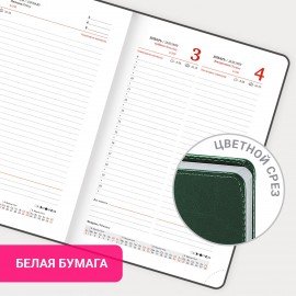 Ежедневник датированный 2026 А5 138x213мм BRAUBERG Inspiration, под кожу, цветной срез, темно-зелен, 117477