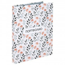 Папка-портфолио универсальная, 4 кольца, 20 файлов 10 вкладышей, 7БЦ матовая, BRAUBERG, Дизайн 4, 117556