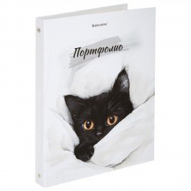 Папка-портфолио универсальная, 4 кольца, 20 файлов 10 вкладышей, 7БЦ матовая, BRAUBERG, 117557