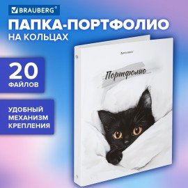 Папка-портфолио универсальная, 4 кольца, 20 файлов 10 вкладышей, 7БЦ матовая, BRAUBERG, 117557
