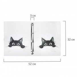 Папка-портфолио универсальная, 4 кольца, 20 файлов 10 вкладышей, 7БЦ матовая, BRAUBERG, 117557