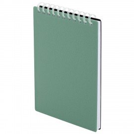 Блокнот МАЛЫЙ ФОРМАТ А6 60л, BRAUBERG, силиконовый гребень, обложка пластик, клетка, зеленый, 117564