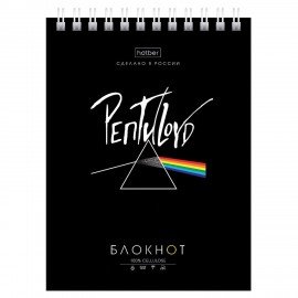 Блокнот МАЛЫЙ ФОРМАТ А6 40л, гребень, картон, клетка, HATBER, Проект Капланопись, 090639, 40Б6В1гр