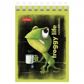 Блокнот МАЛЫЙ ФОРМАТ А7 40л, гребень, картон, клетка, HATBER, Лягух Кир, 081184, 40Б7В1гр
