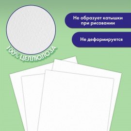 Папка для акварели А4, 10л., 200 г/м2, 210х297мм, BRAUBERG АКАДЕМИЯ, "Апельсины", 117743