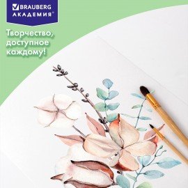 Папка для акварели А4, 10л., 200 г/м2, 210х297мм, BRAUBERG АКАДЕМИЯ, "Апельсины", 117743