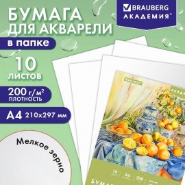 Папка для акварели А4, 10л., 200 г/м2, 210х297мм, BRAUBERG АКАДЕМИЯ, "Апельсины", 117743