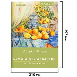 Папка для акварели А4, 10л., 200 г/м2, 210х297мм, BRAUBERG АКАДЕМИЯ, "Апельсины", 117743