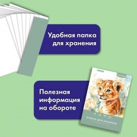 Папка для акварели БОЛЬШАЯ А3, 20л., 200 г/м2, 297х420мм, BRAUBERG АКАДЕМИЯ, "Львёнок", 117745