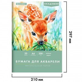 Папка для акварели А4, 20л., 200 г/м2, 210х297мм, BRAUBERG АКАДЕМИЯ, "Оленёнок", 117746