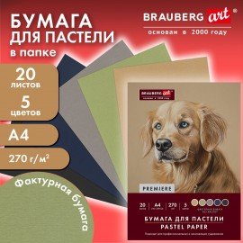 Бумага для пастели ФАКТУРНАЯ А4 в папке, 20 листов 5 цветов, 270 г/м2, BRAUBERG ART,, 117755