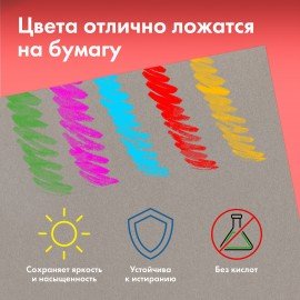 Бумага для пастели ФАКТУРНАЯ А4 в папке, 20 листов 5 цветов, 270 г/м2, BRAUBERG ART,, 117755