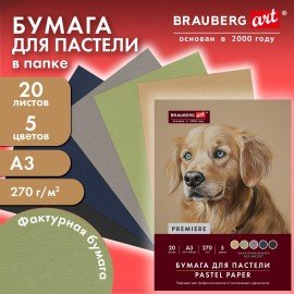 Бумага для пастели ФАКТУРНАЯ А3 в папке, 20 листов 5 цветов, 270 г/м2, BRAUBERG ART,, 117756